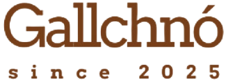 Gallchnó